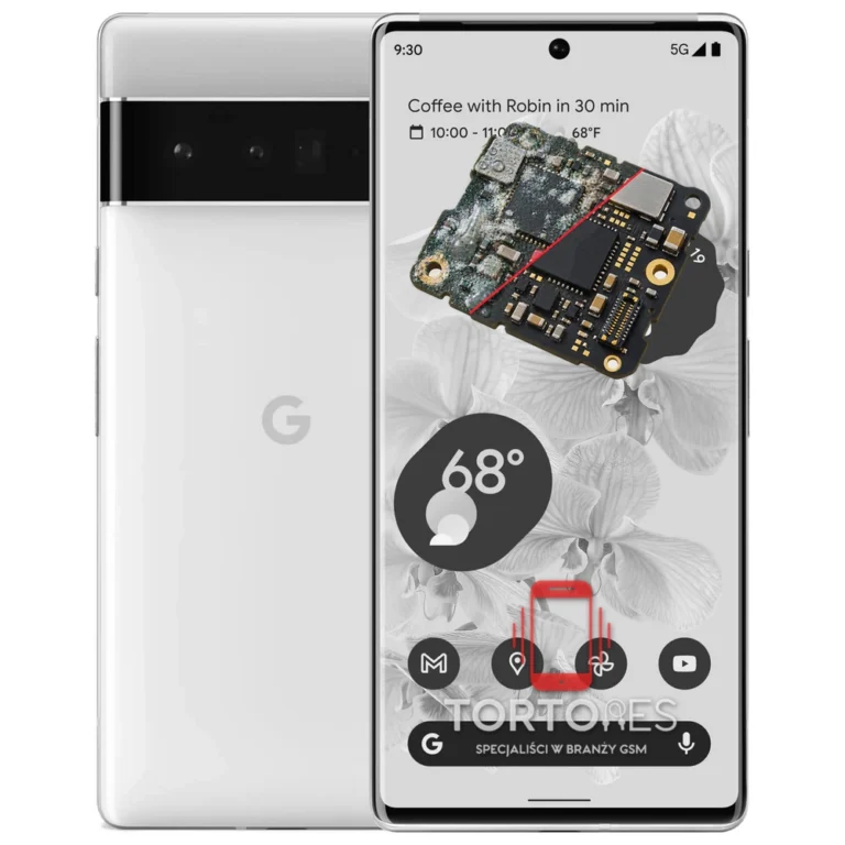 Google Pixel 6 Pro z ilustracją zalania - czyszczenie po zalaniu